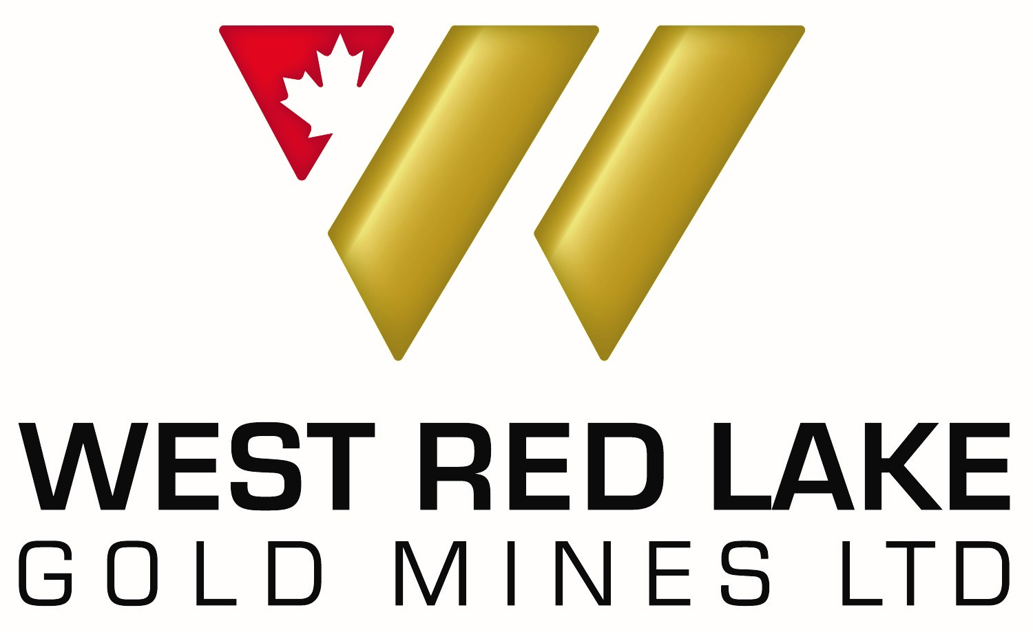 Program Swiss Mining Institute